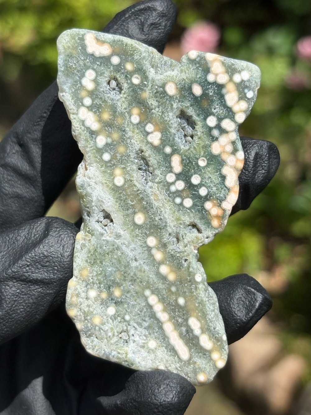 Druzy Ocean Jasper Crystal Freeform - Orbicular Jasper - Sea Jasper